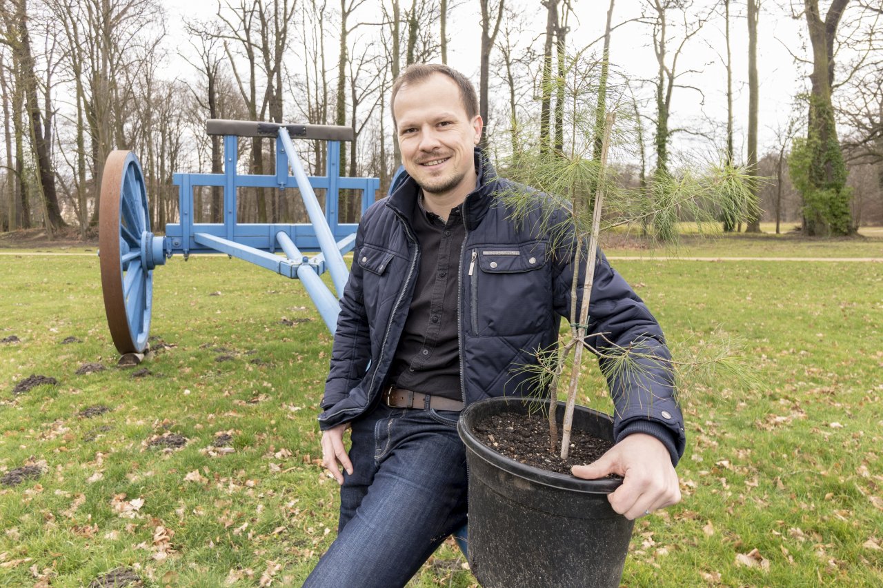 Wo Bäume ein Diplom erhalten